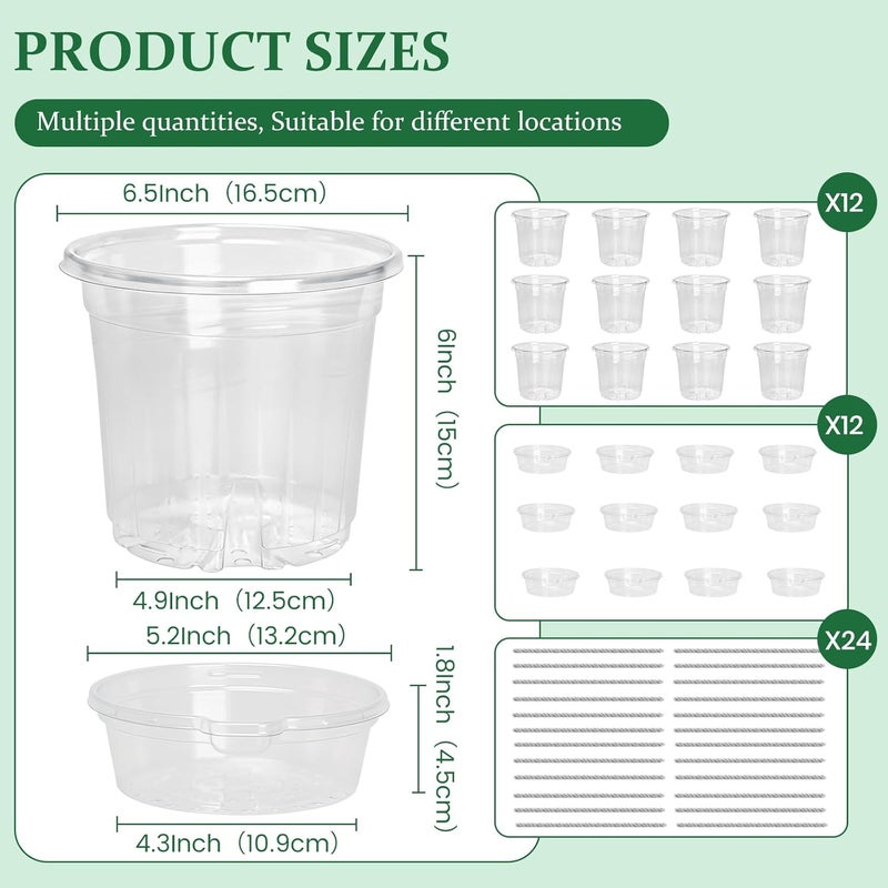 Bluepro 12 Pack 6.5 Inch Clear Self Watering Plant Pots with Bottom Water Tray & Watering Rope, Transparent Nursery Pots with Drainage for Seedlings, Herbs, and Houseplants - Image 2